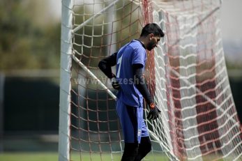 علیرضا بیرانوند