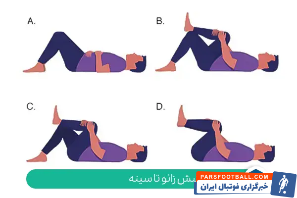 ورزش ویلیامز برای کمر درد و فیزیوتراپی برای کمر درد | برنامه تمرینی، مراحل اجرا، مدت درمان و نکات ایمنی