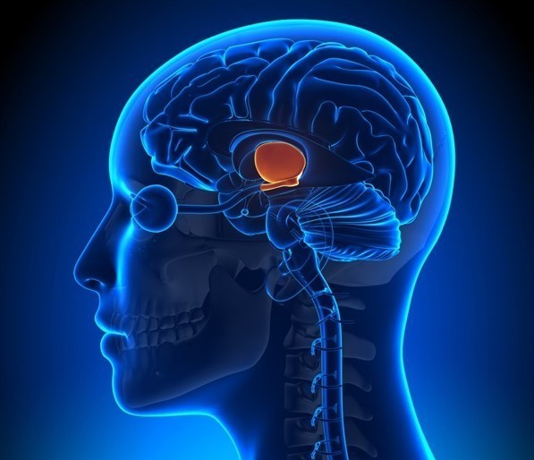 14040713101702830342481710