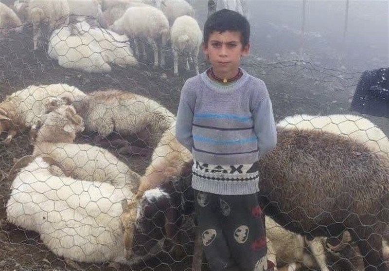 1404071312444258634249834 اخبار استان گیلان , نظام مسائل استان گیلان ,