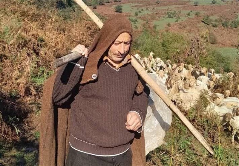 1404071312445561734249844 اخبار استان گیلان , نظام مسائل استان گیلان ,