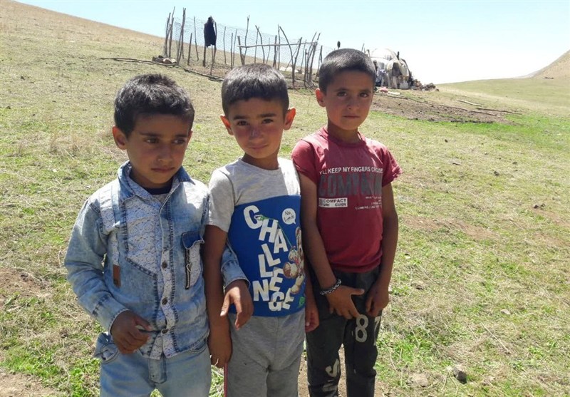 1404071312454538334249874 اخبار استان گیلان , نظام مسائل استان گیلان ,