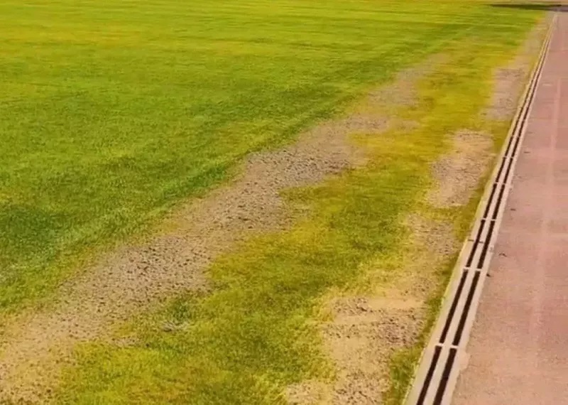 واکنش عجیب آقای مدیر به زردی چمن ورزشگاه یادگار امام!