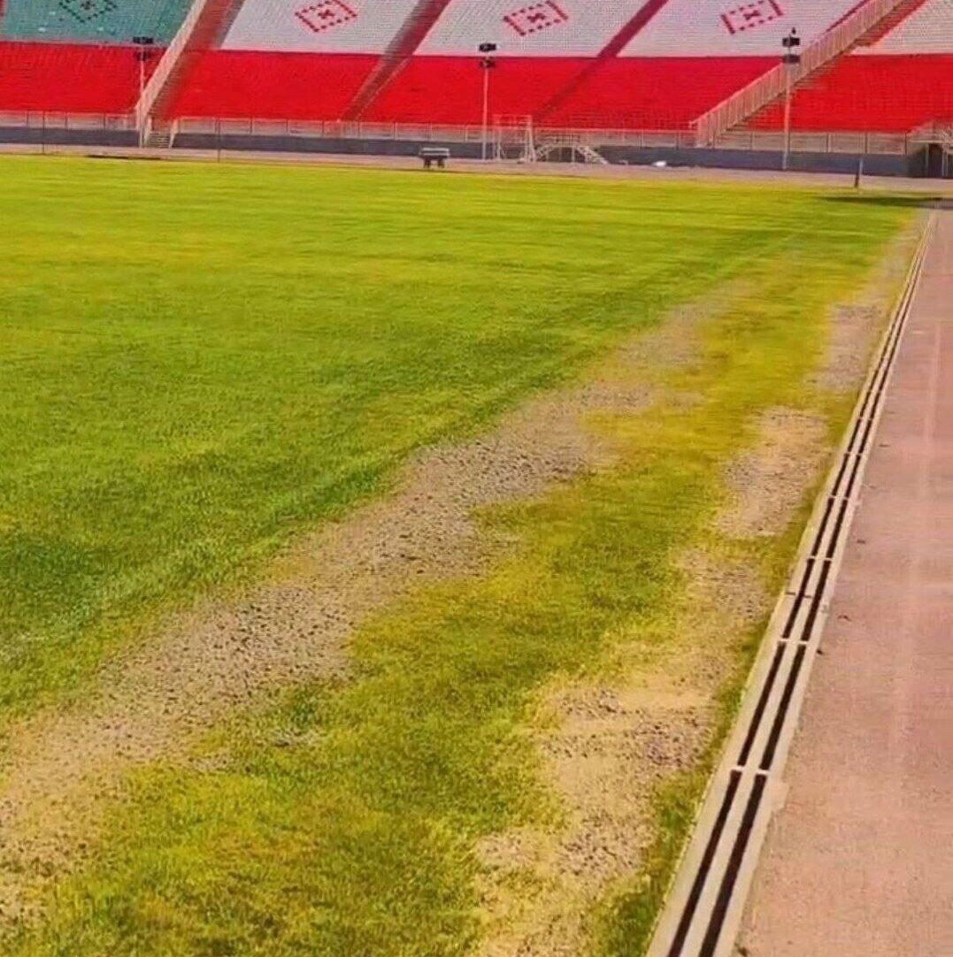 چمن ورزشگاه یادگار امام تبریز پس از بازسازی زرد شد