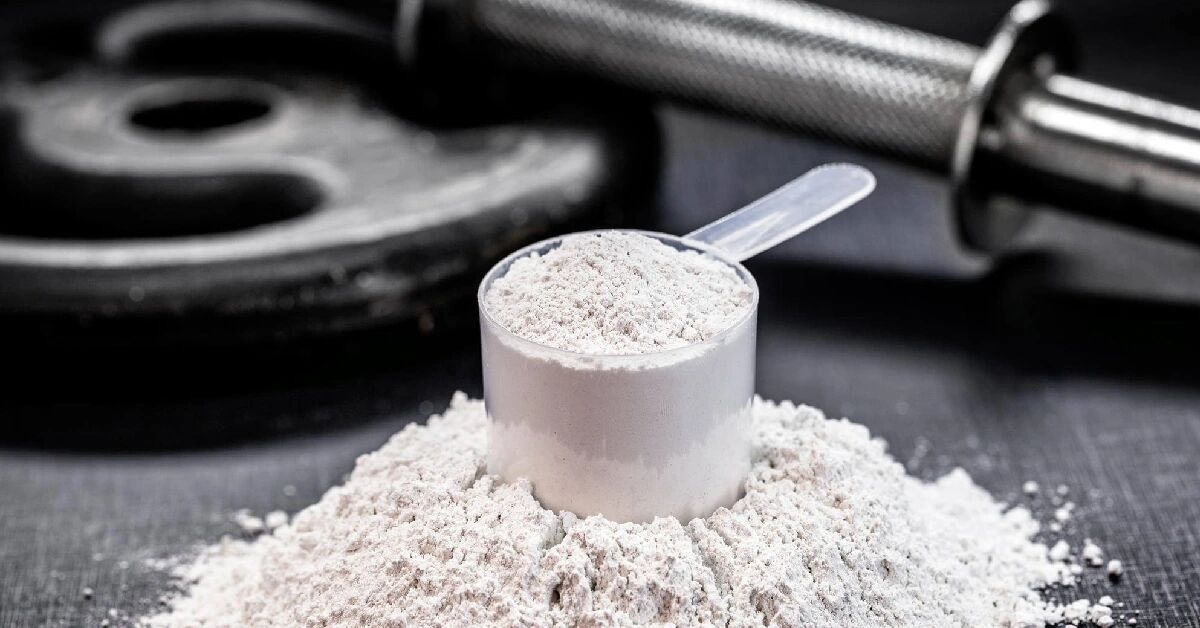 408296 پروتئین