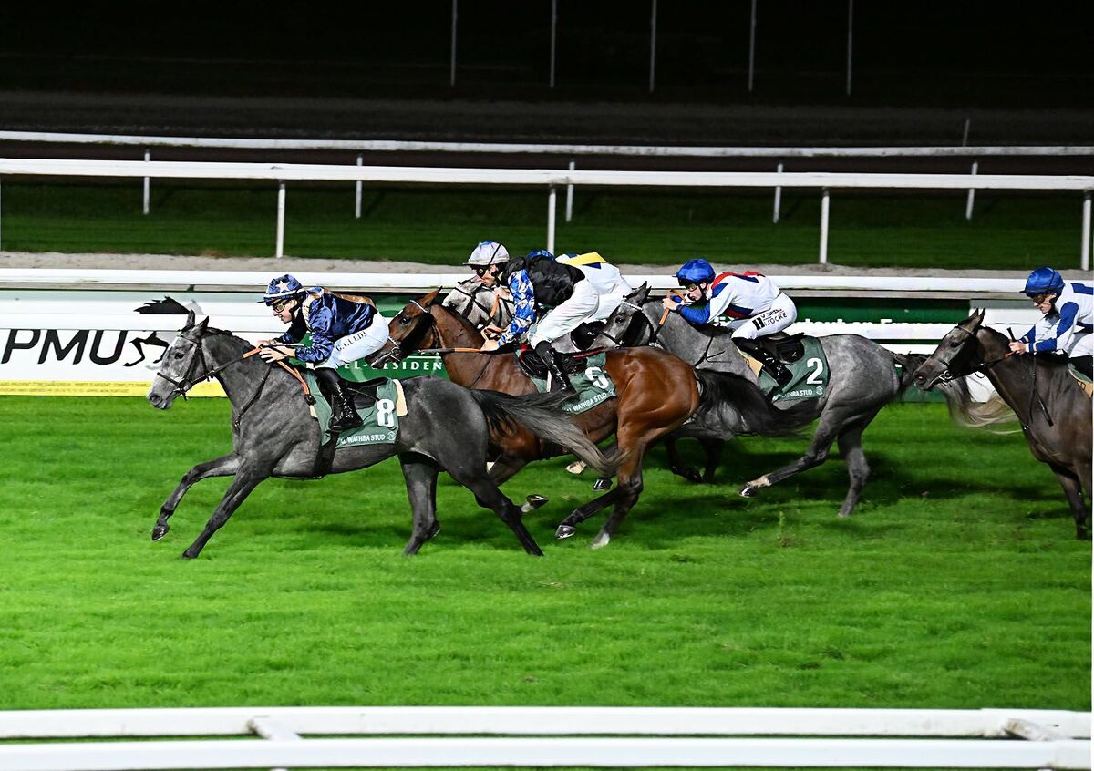 409718 شب تاریخی اسبدوانی ایران در فرانسه/ پیست تولوز در تصرف تی اس ویسما و نرسی!