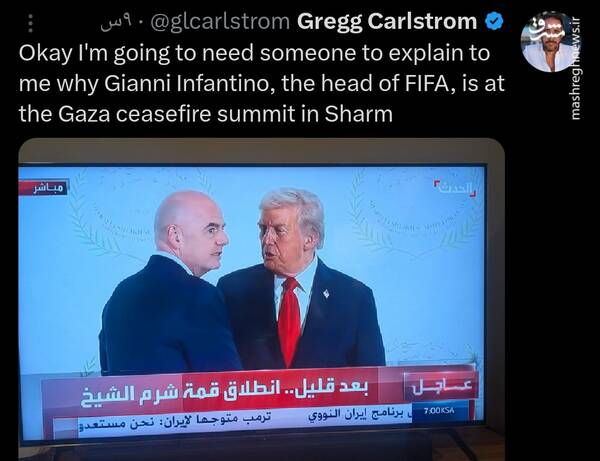 4518265 میهمان ناخوانده شرمالشیخ+ عکس