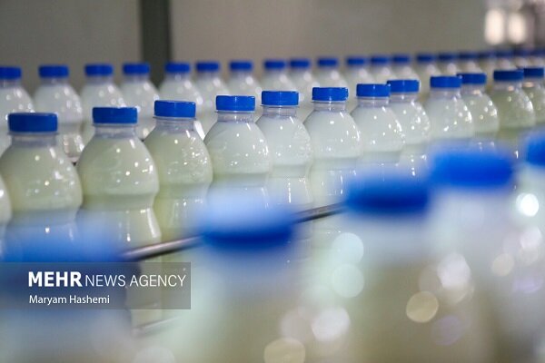 بازار متلاطم لبنیات در استان بوشهر؛ لزوم برخورد با گرانفروشان