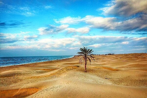 5711342 چابهار؛ دروازه استراتژیک ایران برای توسعه اقتصادی و گردشگری