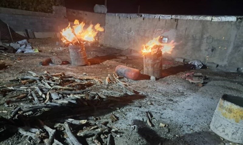 جنگل‌های بلوط ایلام زیر آتش کوره‌های زغال