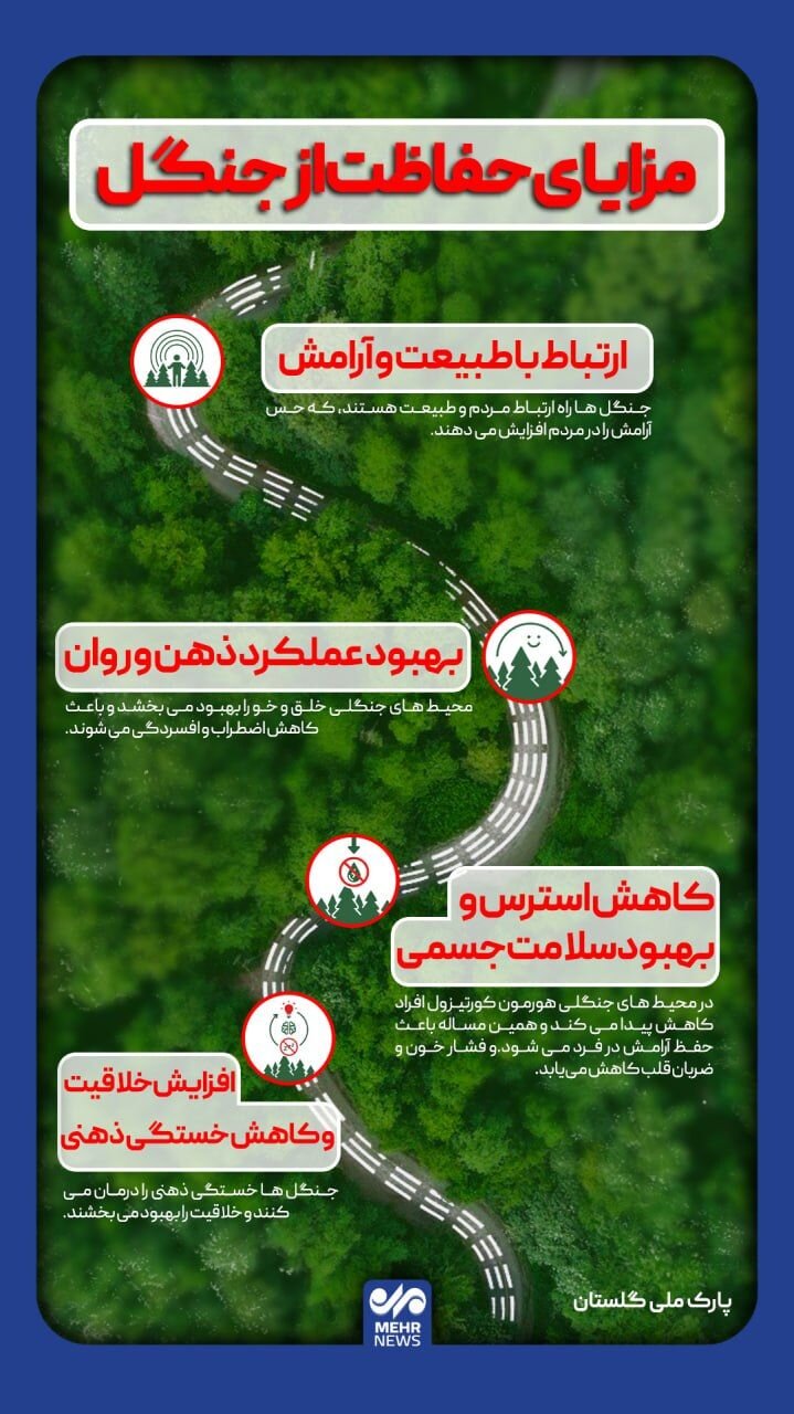 5722662 جنگلها، پیوند انسان با طبیعت و آرامش