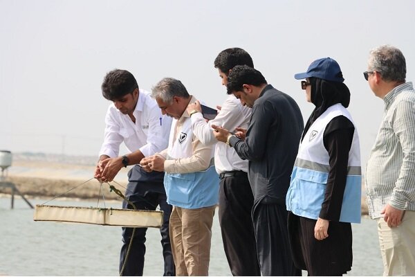 5725964 سرگزی: پرورش میگو در سیستان و بلوچستان رشد ۱۰۷ درصدی داشته است