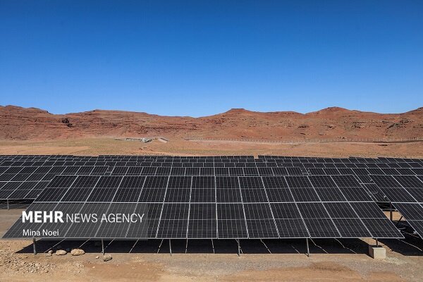 5731620 پسته بر روی درختان باغهای راور خشک شد