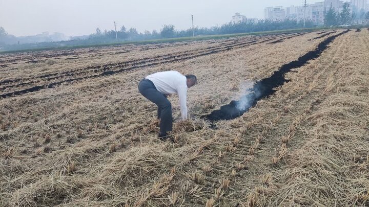 5748905 بحران زیستمحیطی در بابل؛ دود کاه به چشم آسمان می رود