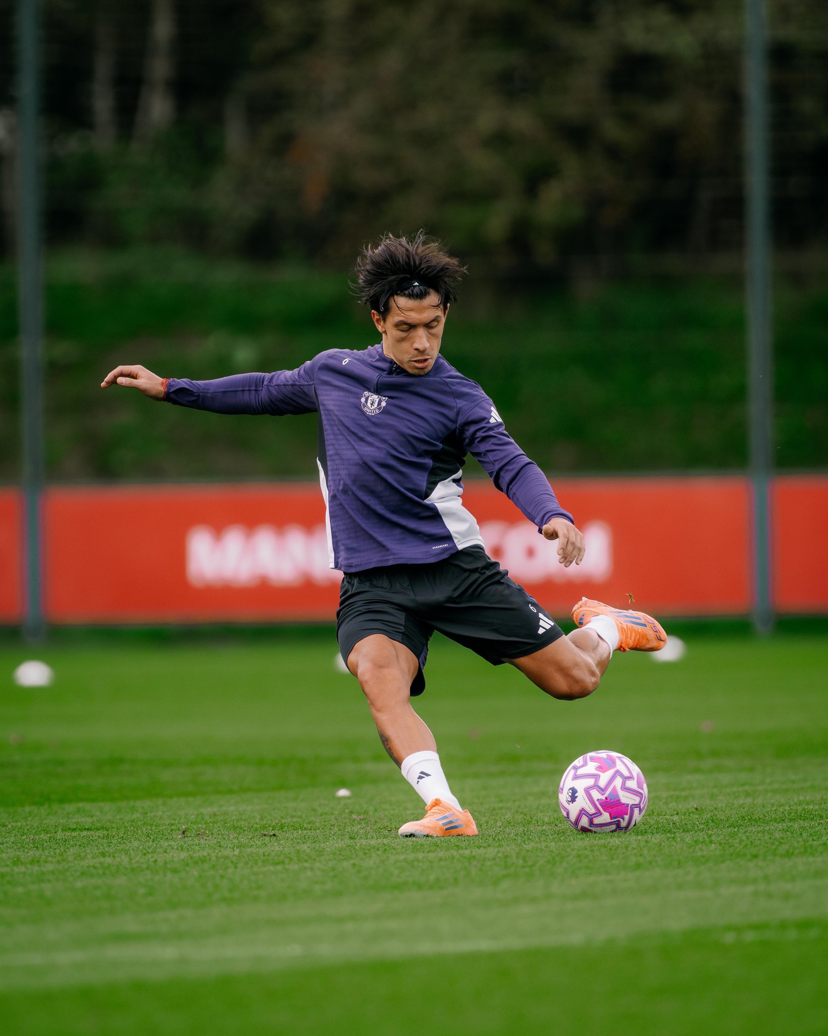 lpeokfp لیساندرو مارتینز