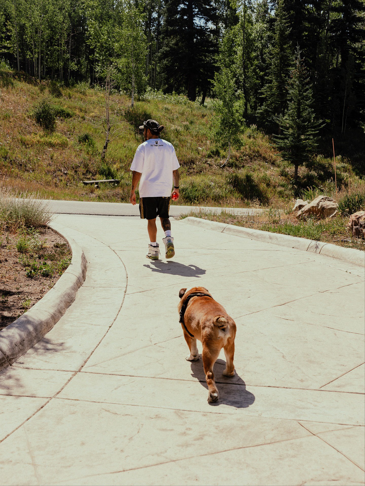 photo_2025-10-25_01-23-16 لوییس همیلتون