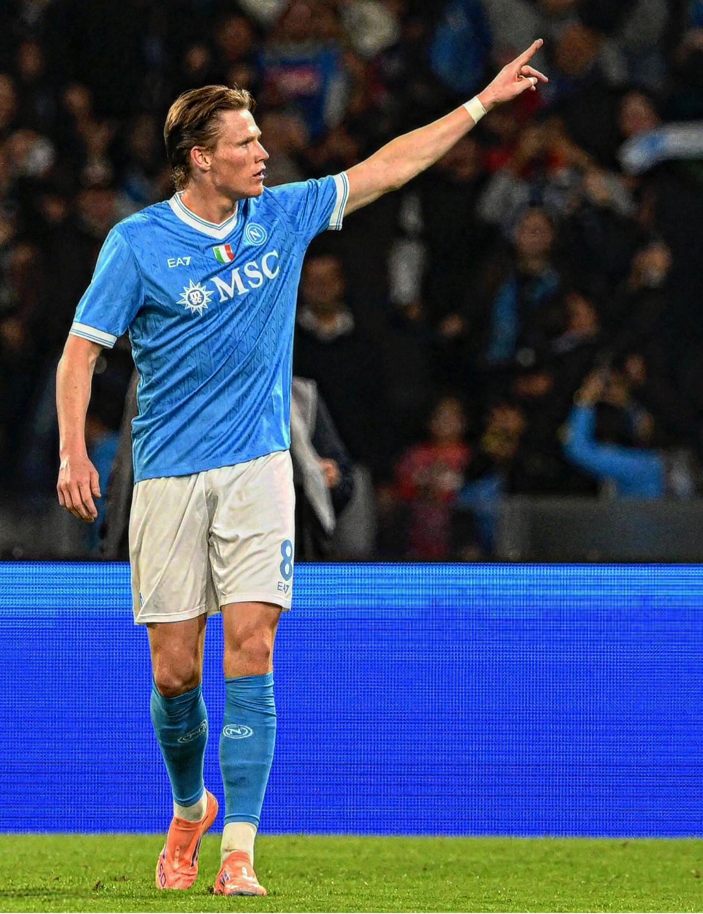 photo_2025-10-26_02-59-23 اسکات مک تومینای