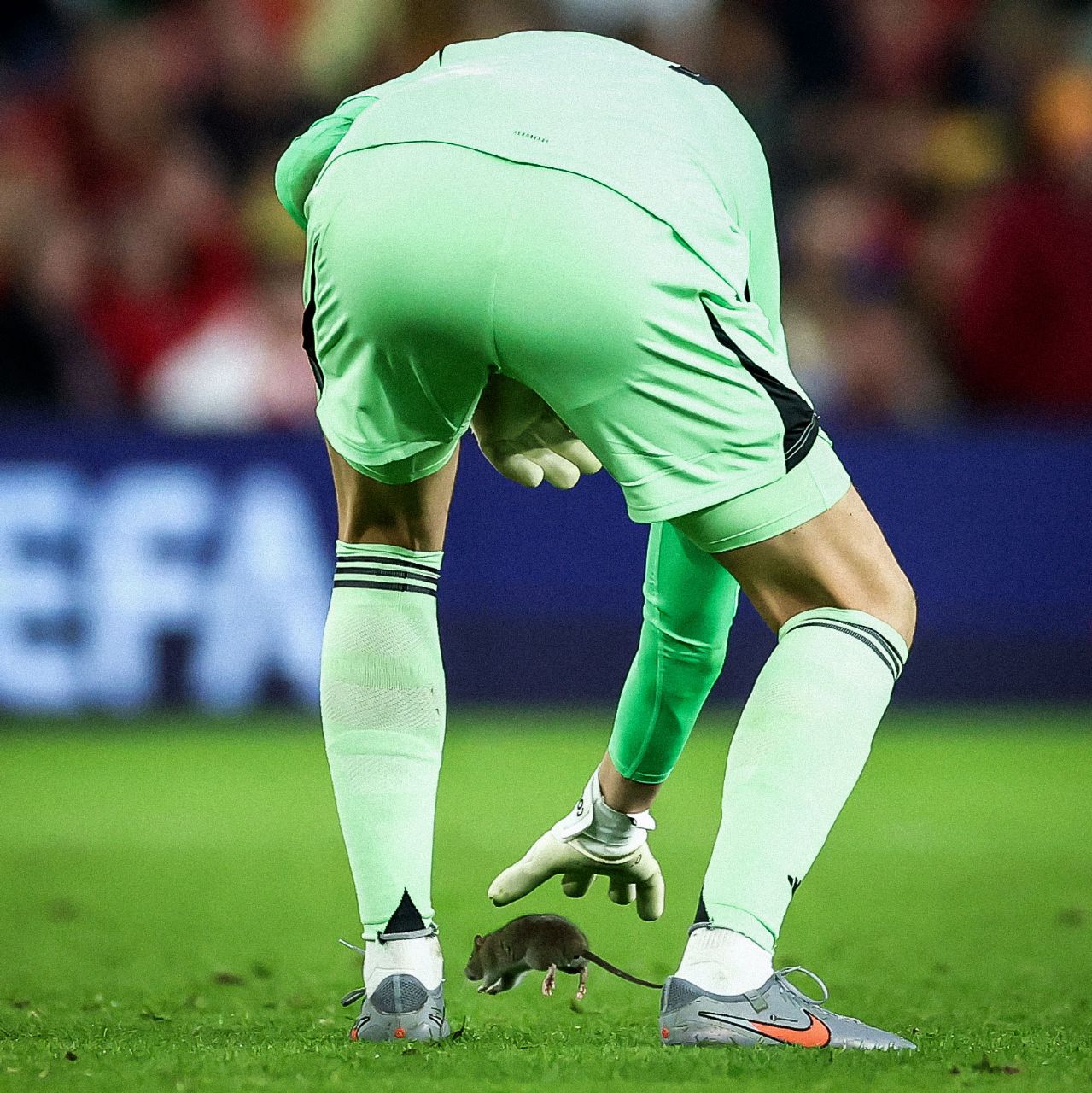 wales-belgium_7143 تیبو کورتوا - ولز - بلژیک - مقدماتی جام جهانی ۲۰۲۶