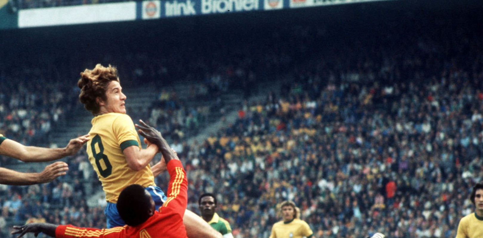 لیوینیا در تیم ملی برزیل