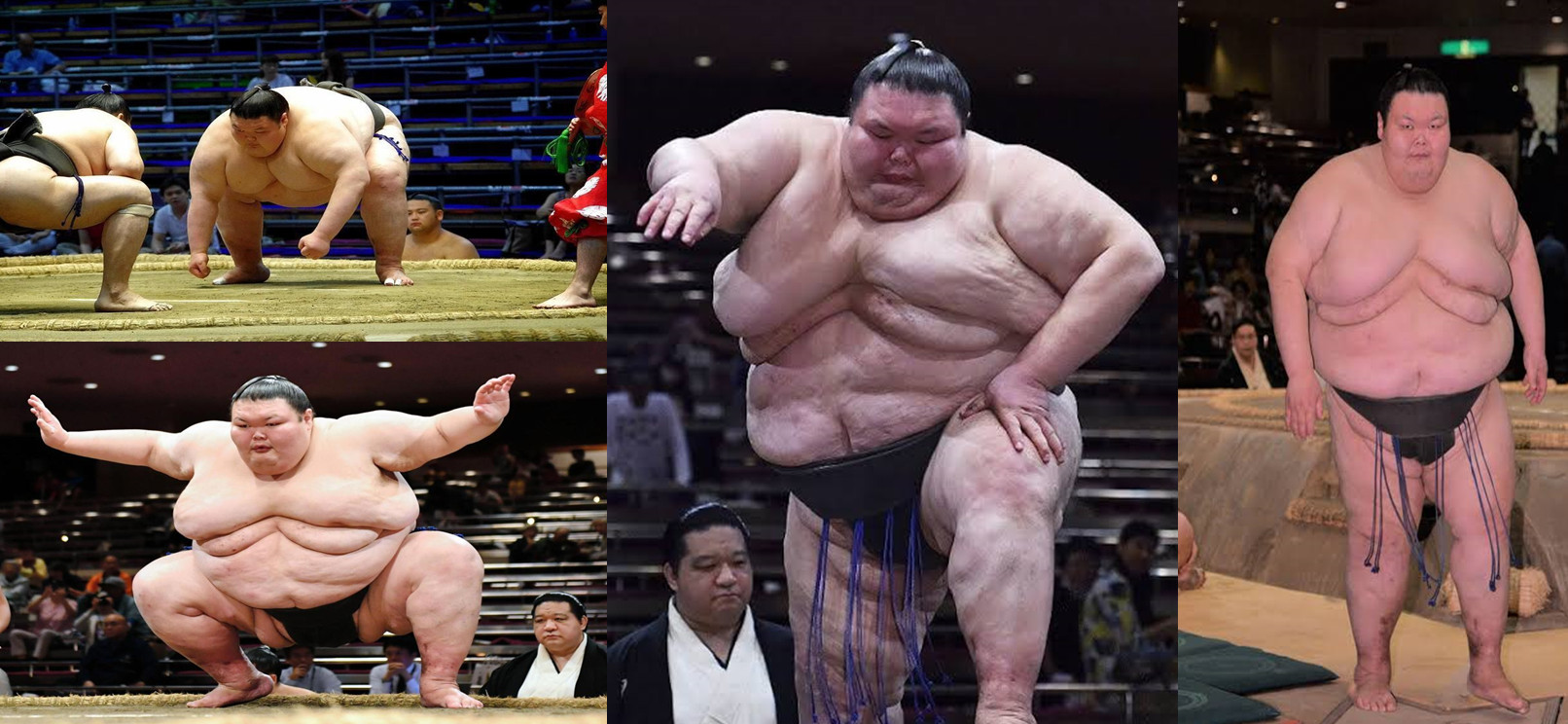 اورورا ساتوشی