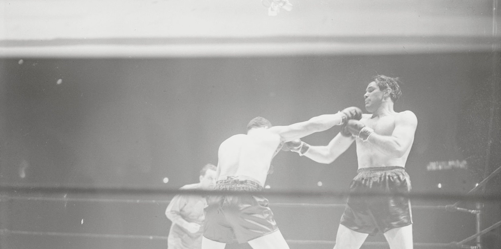 2025-11-30_015548 بادی بائر