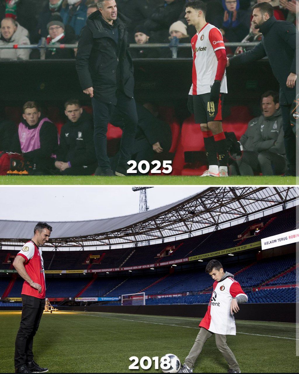 رابین فن پرسی - شکیل فن پرسی - فاینورد