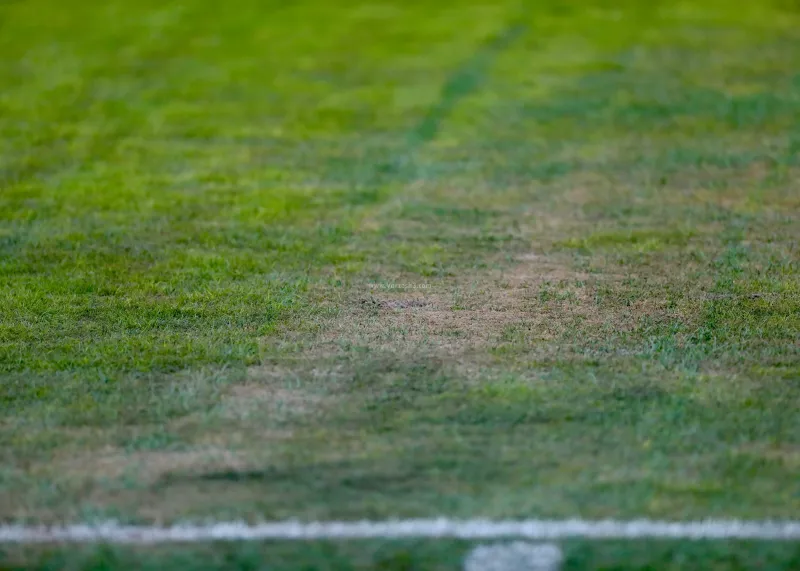 وضعیت بد چمن ورزشگاه یادگار امام تبریز در آستانه دیدار تراکتور- الشرطه در لیگ نخبگان آسیا