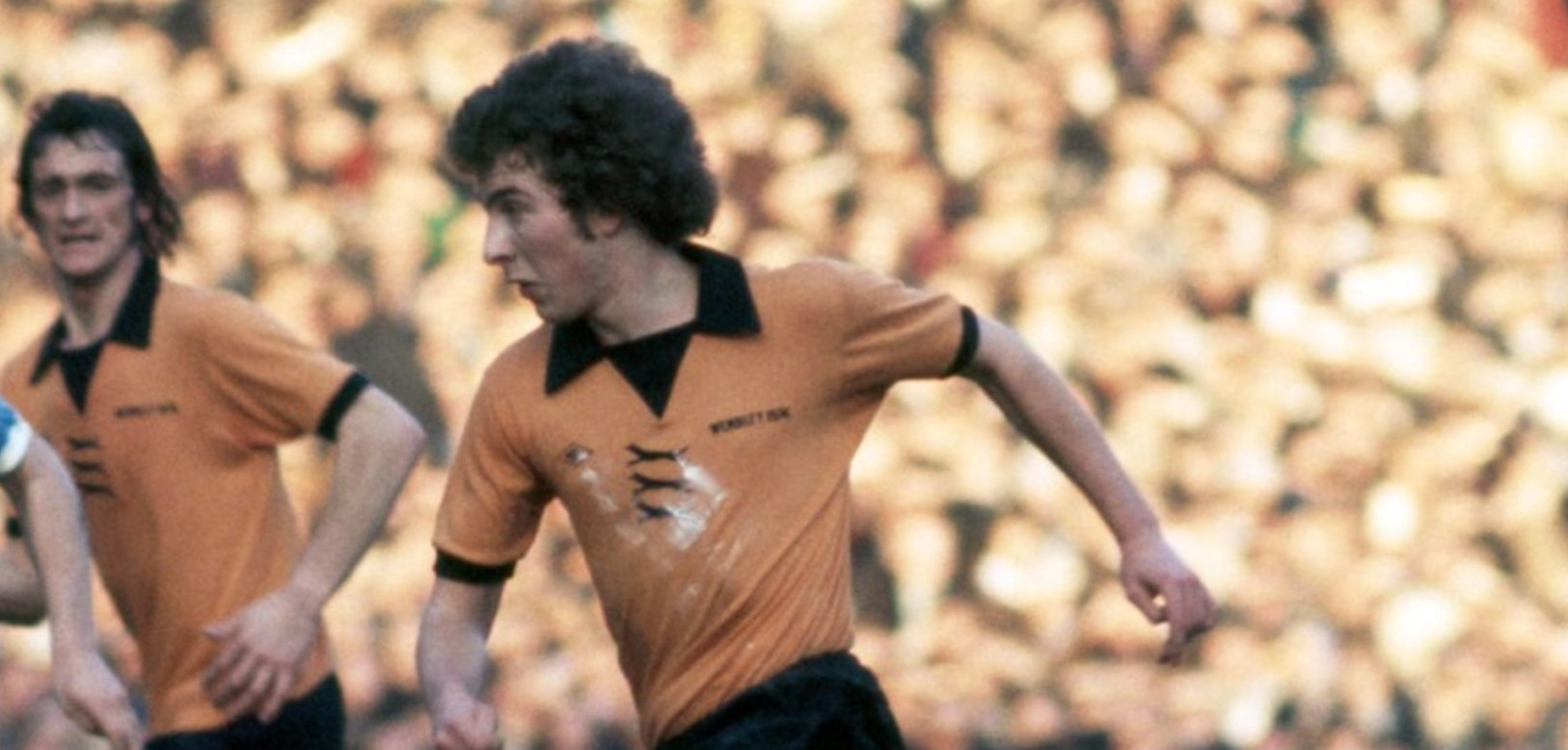 آلن ساندرلند در ولورهمپتون