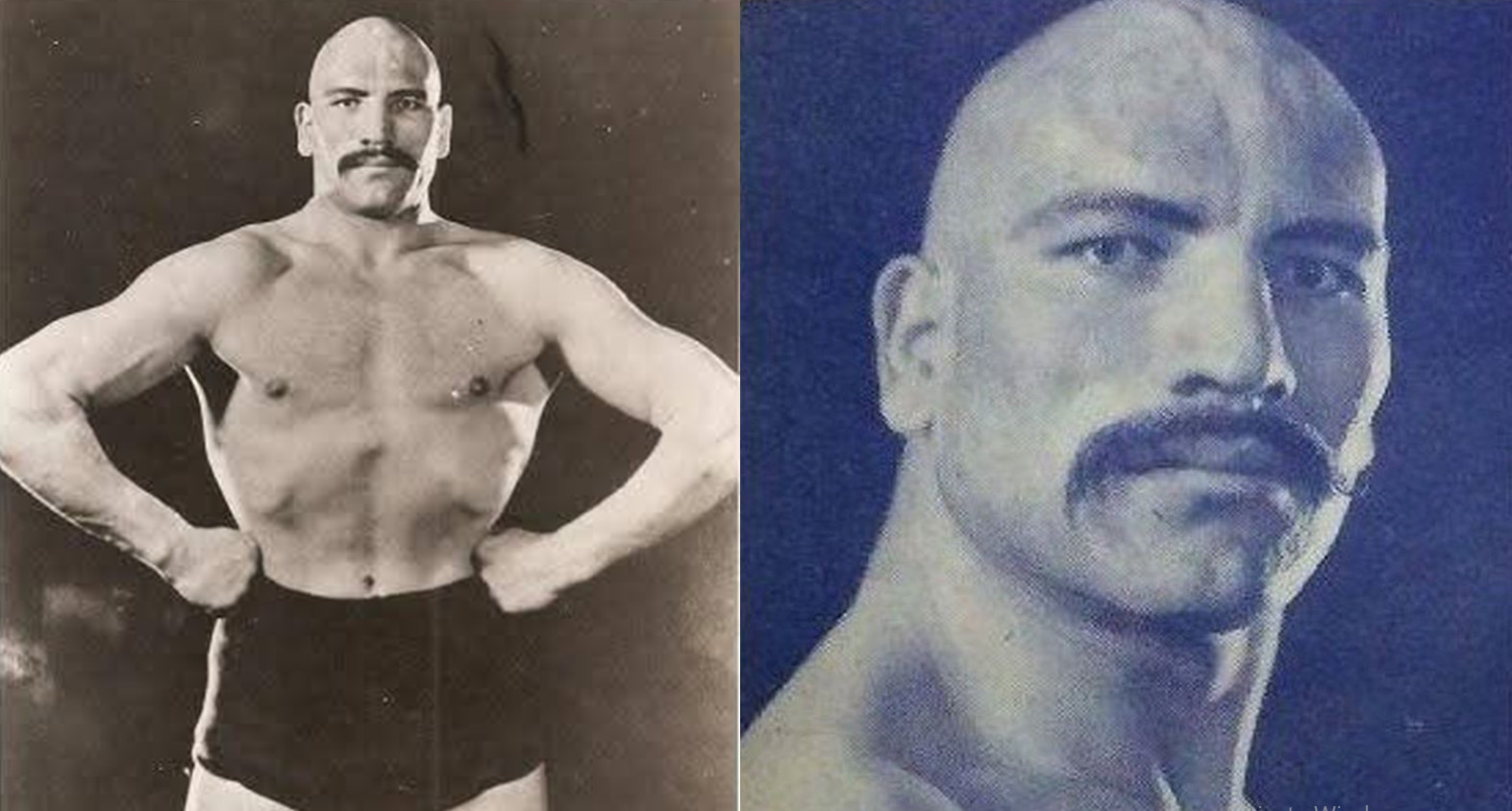 2025-12-03_092054 ولادیسلاو تالون