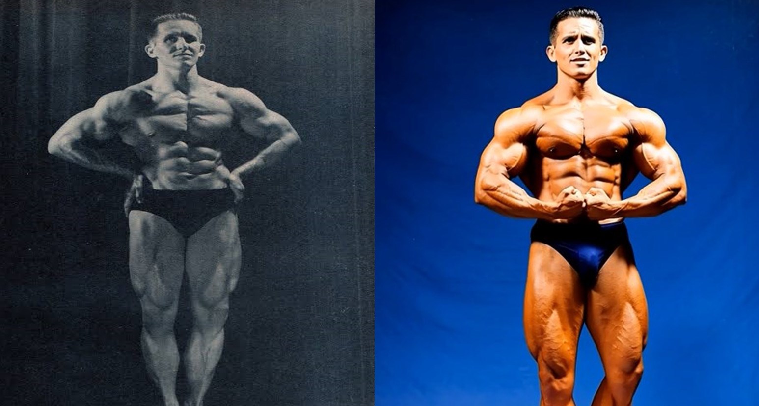 2025-12-16_074500 استیو کلیسانین