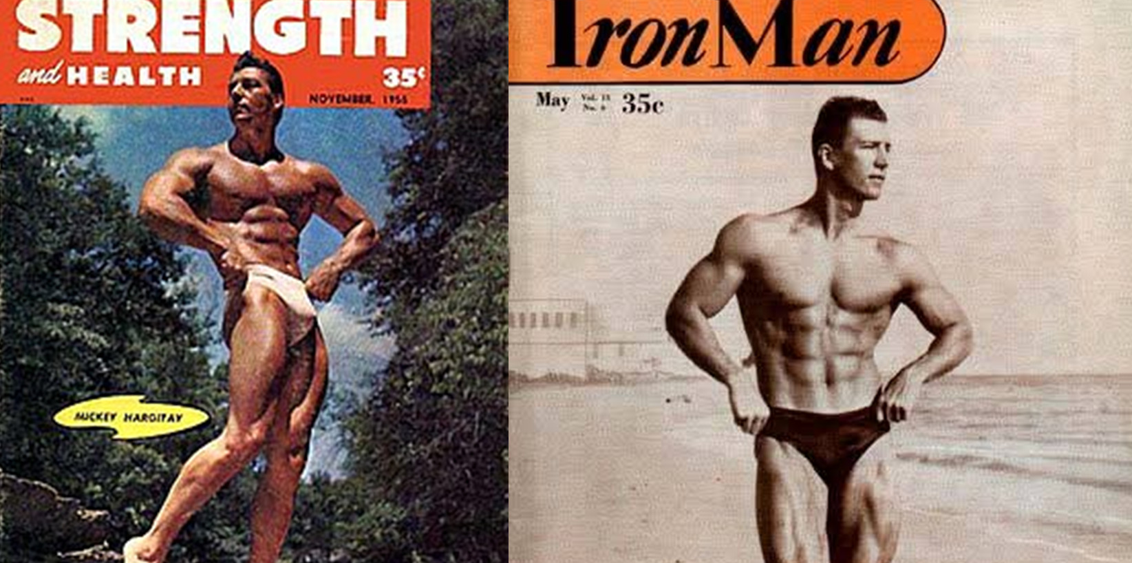 میکی هارگیتی