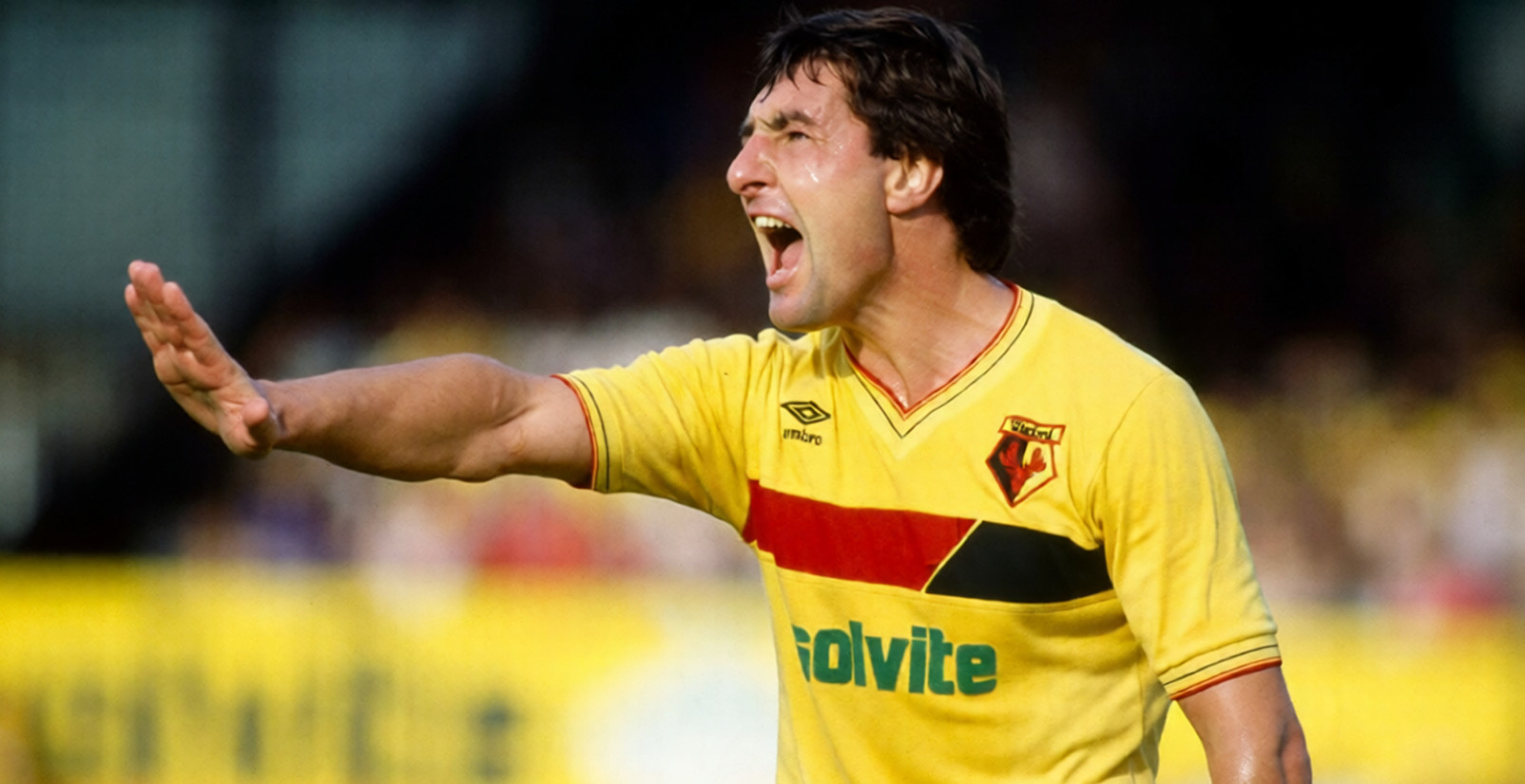 برایان تالبوت در واتفورد