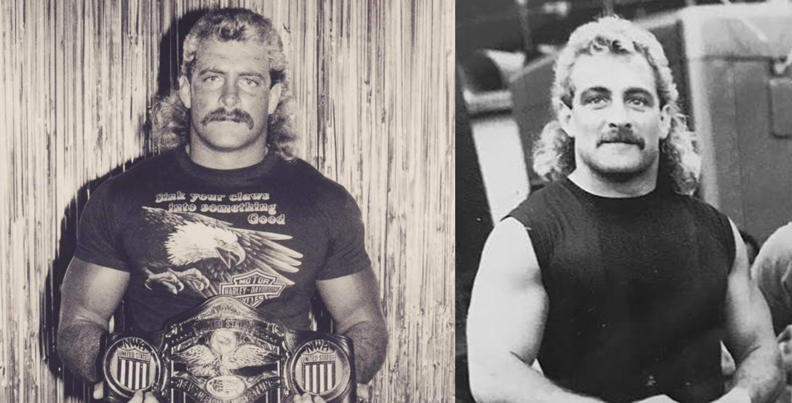 تری آلن یا مگنوم TA