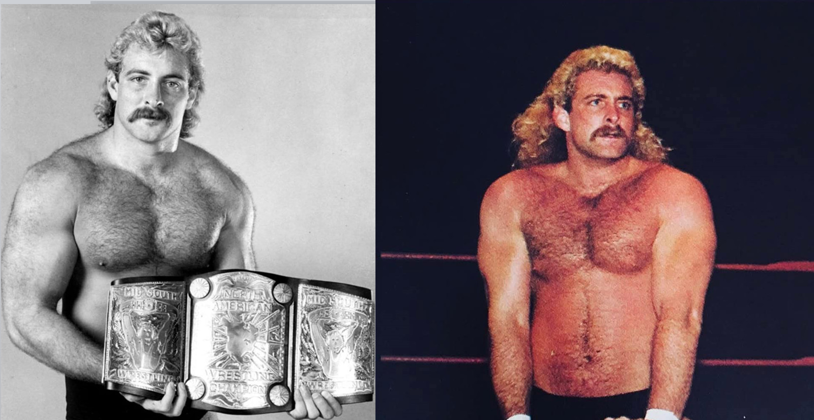 تری آلن یا مگنوم TA