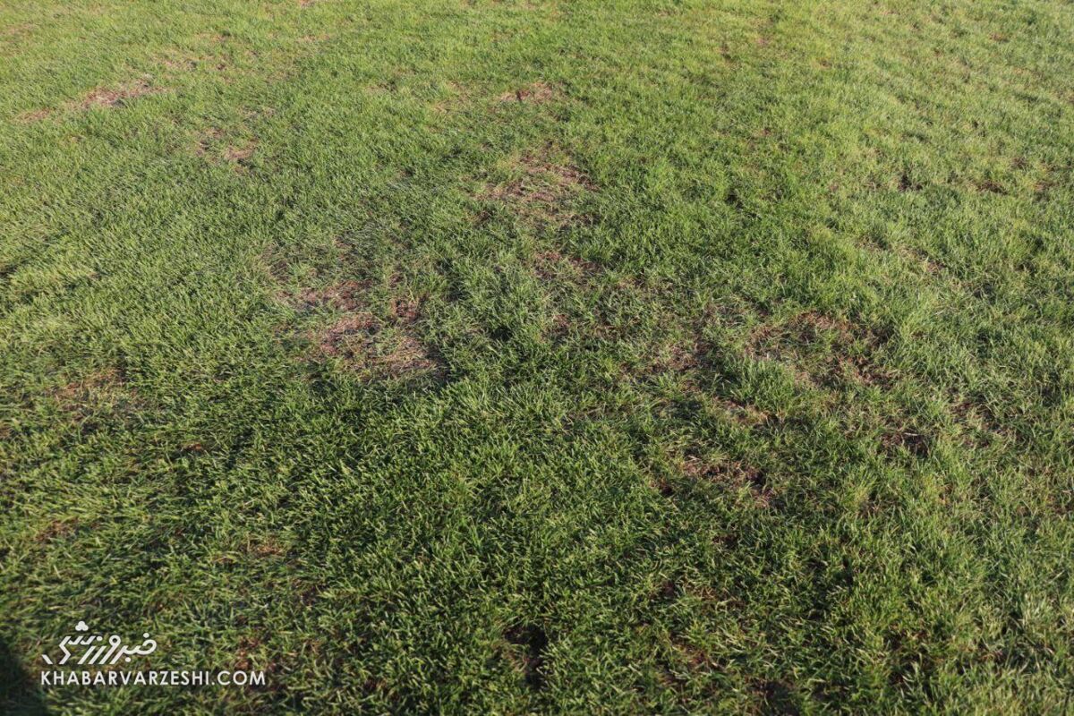 416235 چمن ورزشگاه