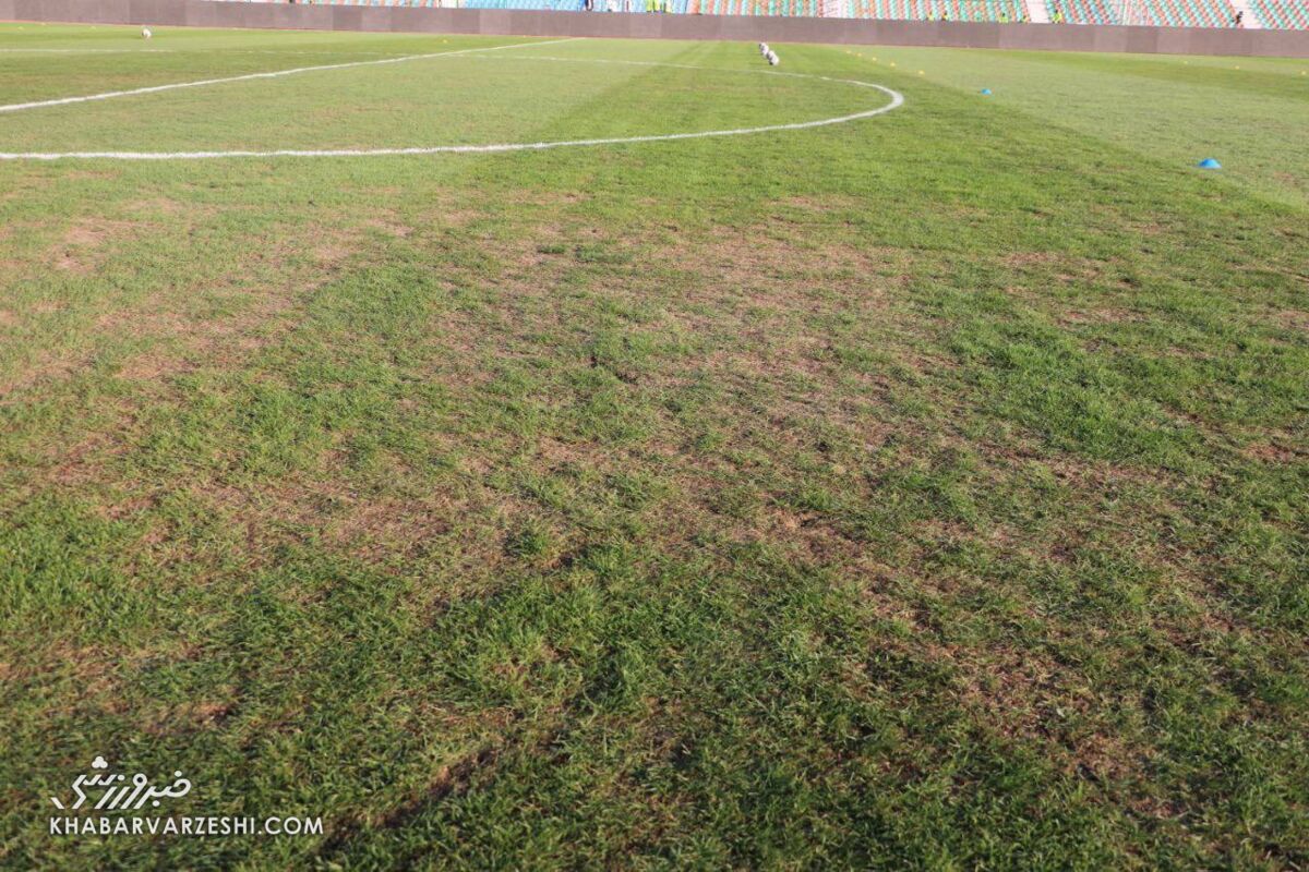 416236 چمن ورزشگاه