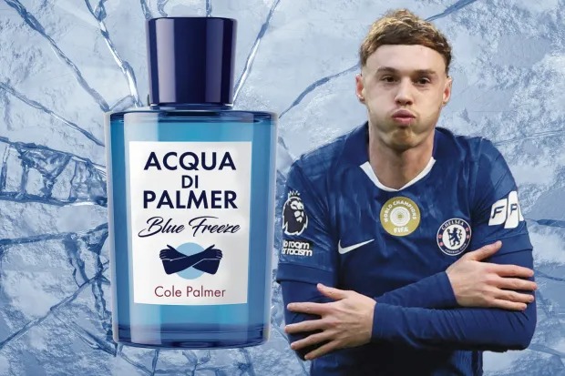 افترشیو کول پالمر