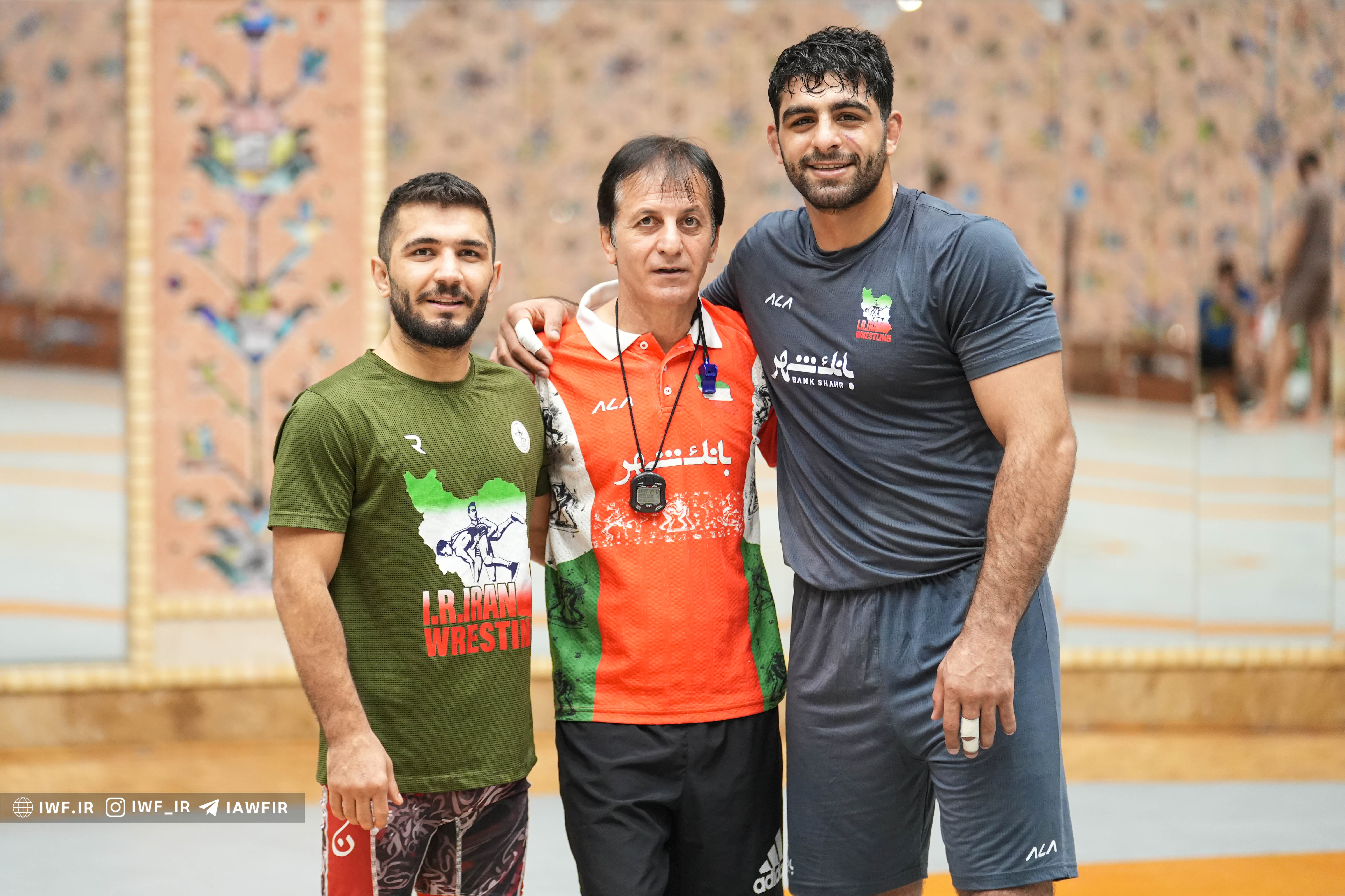 پویا دادمرز