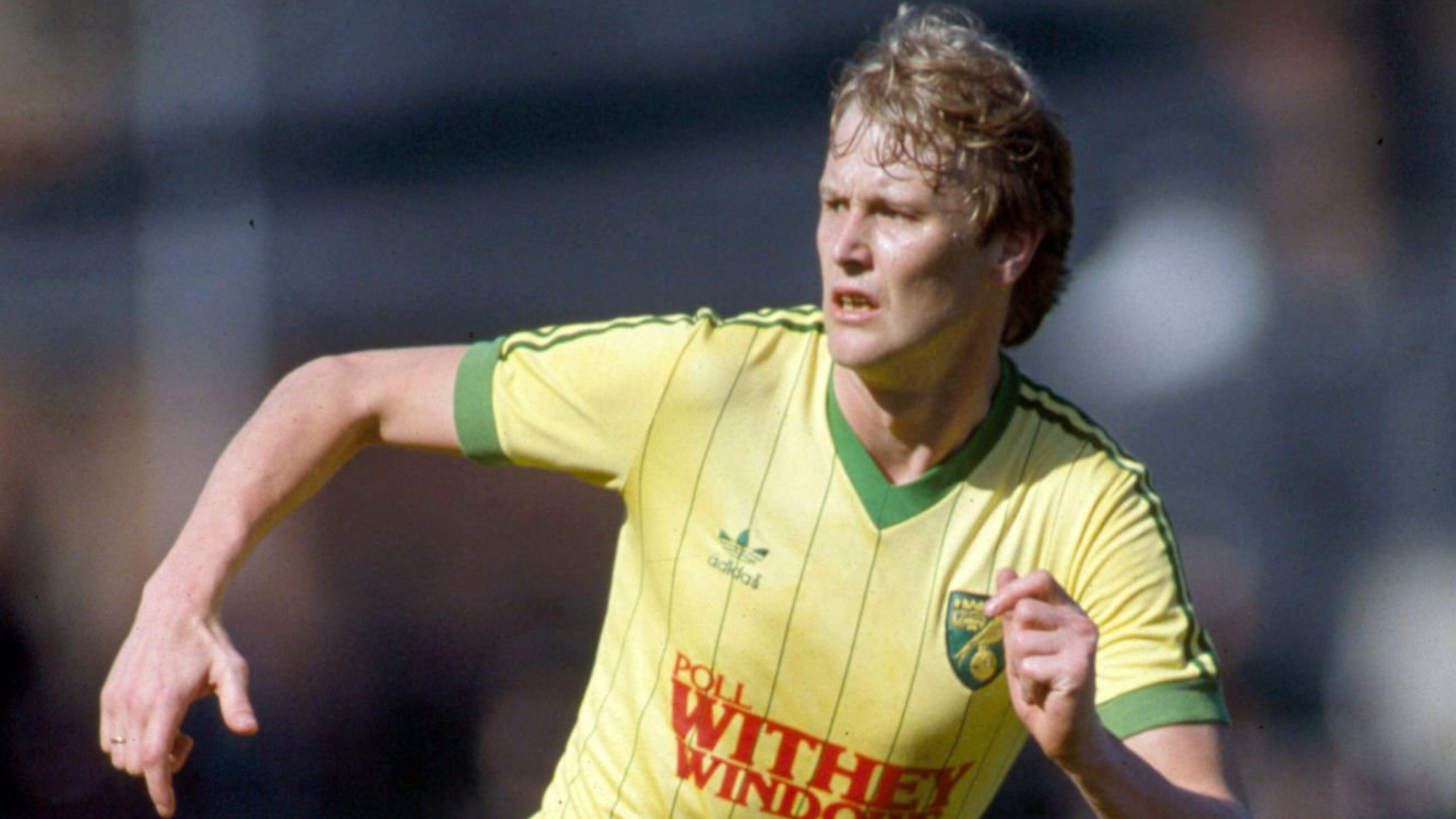 اگی هاریدی در نورویچ سیتی