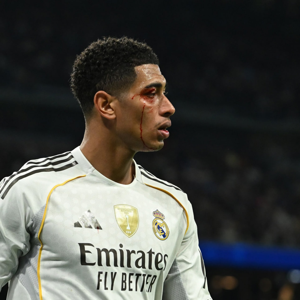 photo_2025-12-08_02-19-00