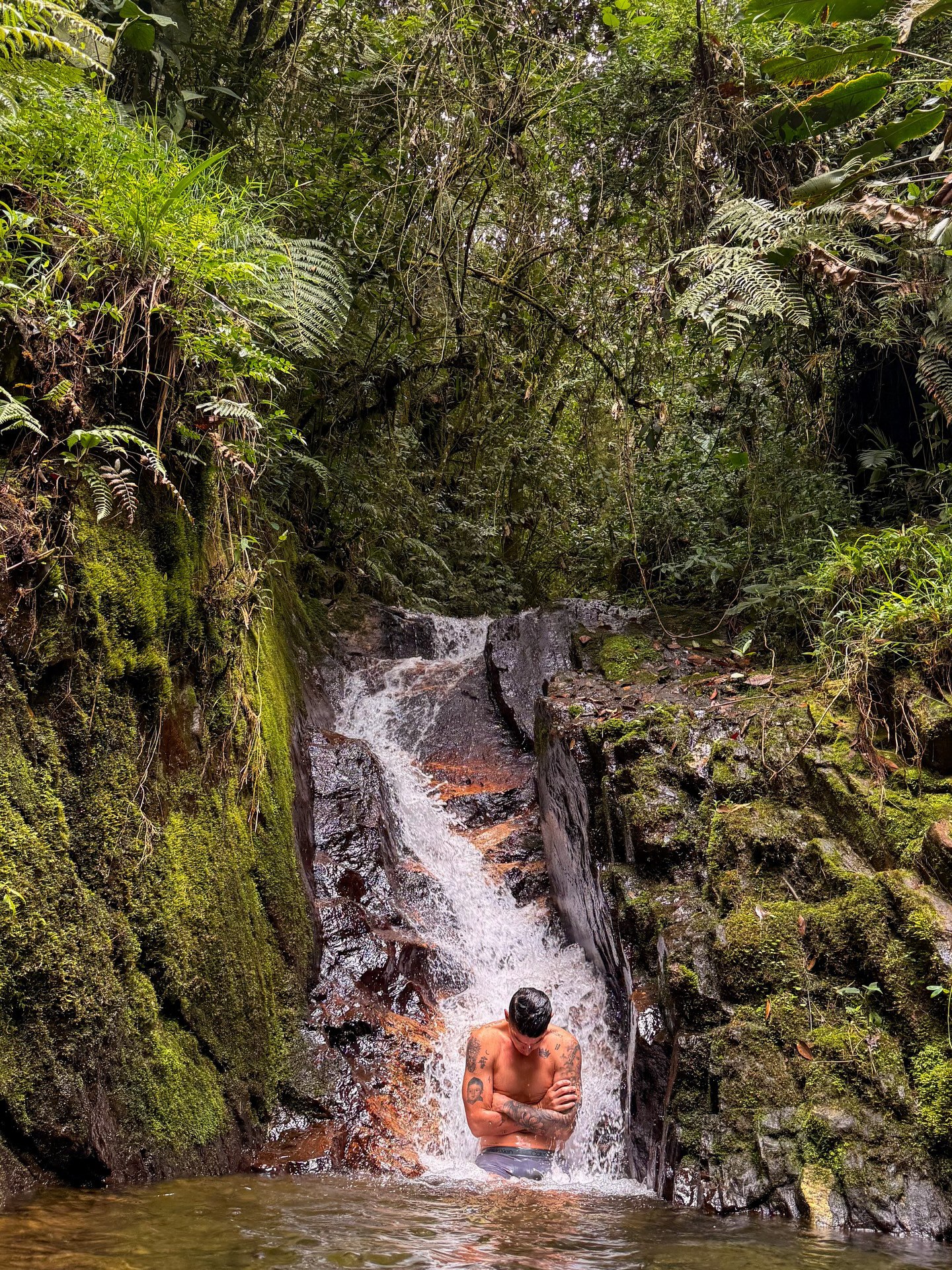 photo_2025-12-25_01-40-01 هامس رودریگز