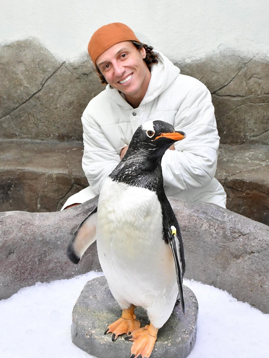 داوید لوئیز