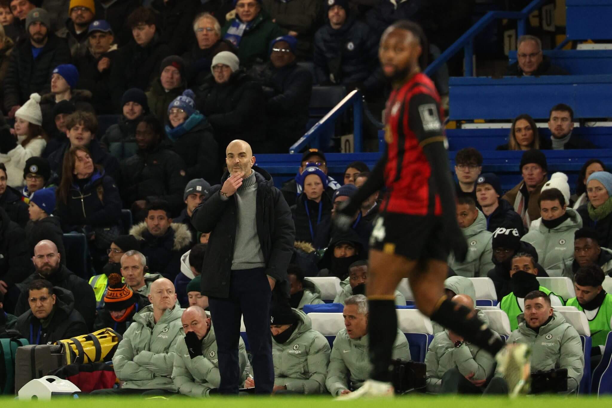 انزو مارسکا