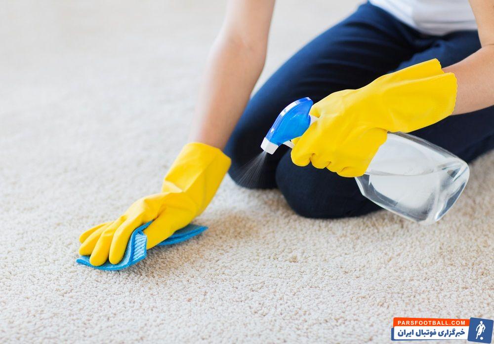 چگونه موهای روی فرش را جمع کنیم؟
