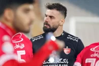 بوژیدار رادوشویچ