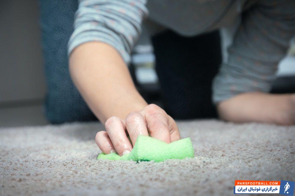 چگونه موهای روی فرش را جمع کنیم؟