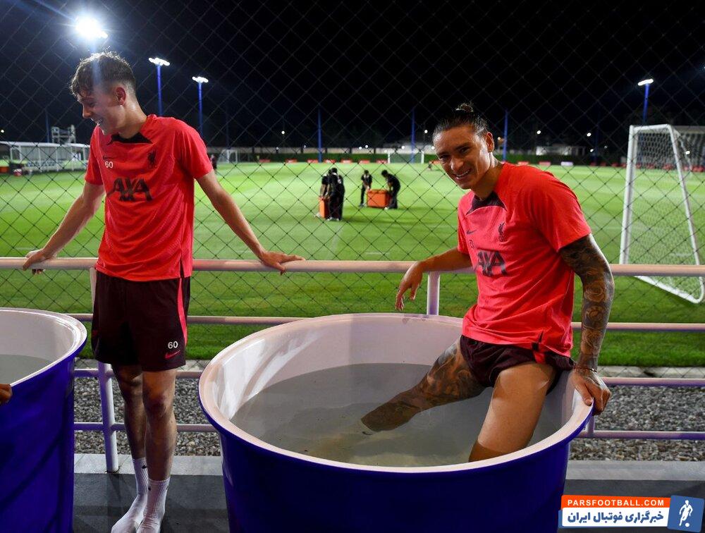 علیرضا منصوریان