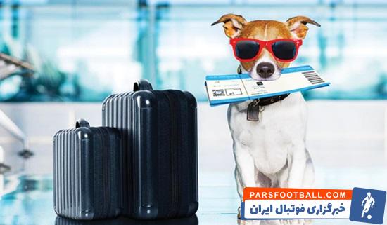8 نکته خرید اینترنتی بلیط هواپیما داخلی و خارجی