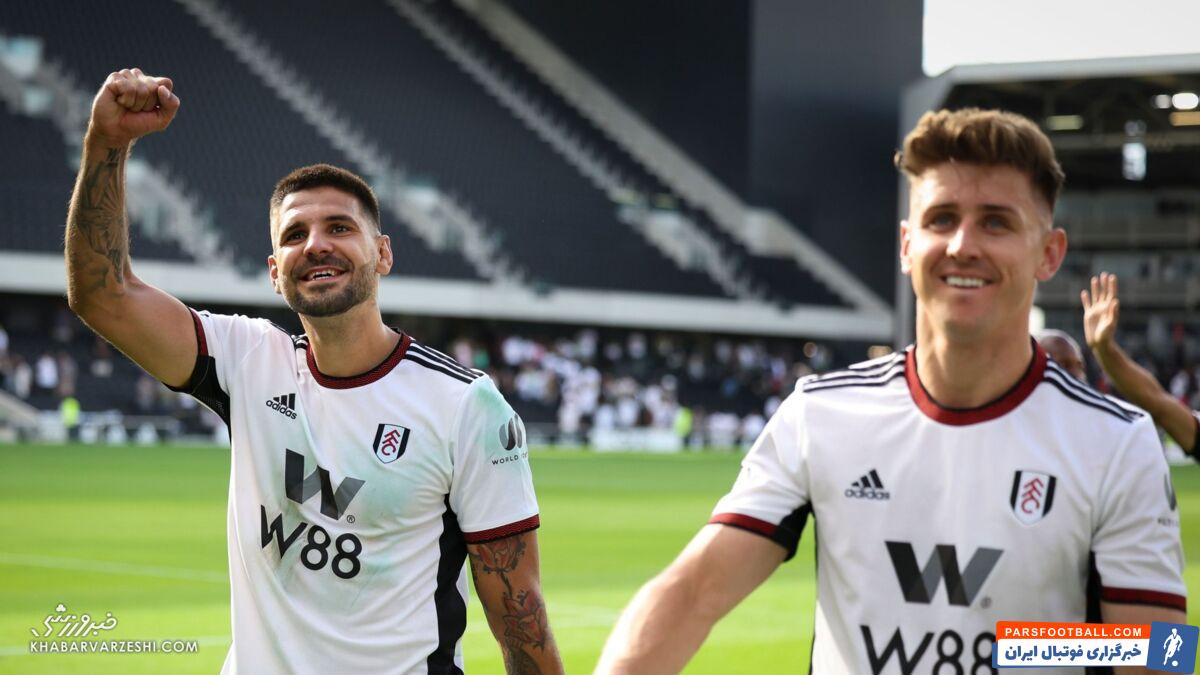 الکساندر میتروویچ در فولام