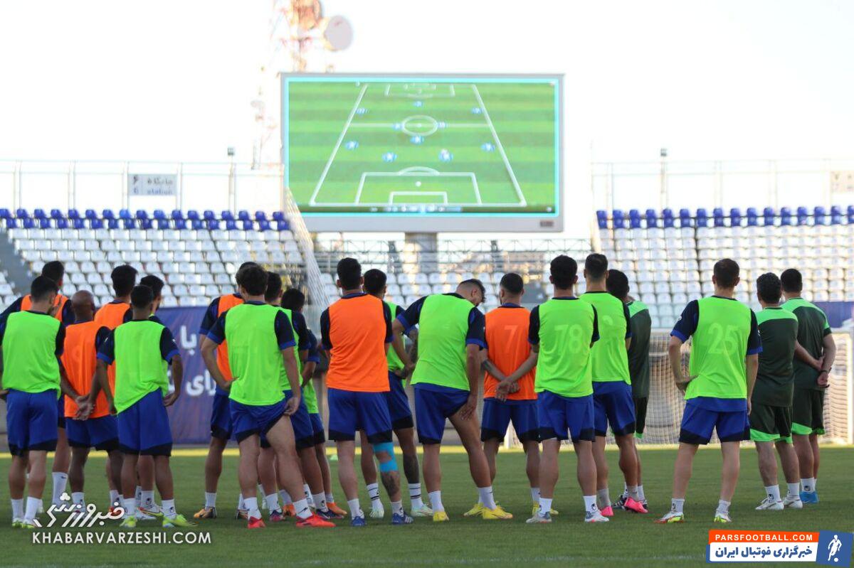 امیر قلعه نویی در گل گهر